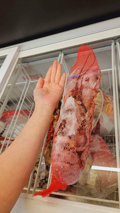 巨無霸波士頓龍蝦8