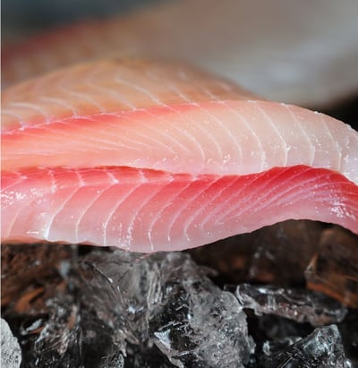 台灣鯛魚片130/1504