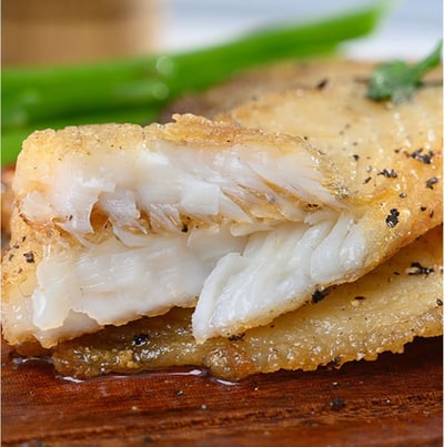 台灣鯛魚片130/1506