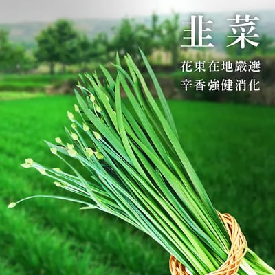 飽滿元寶手工水餃7