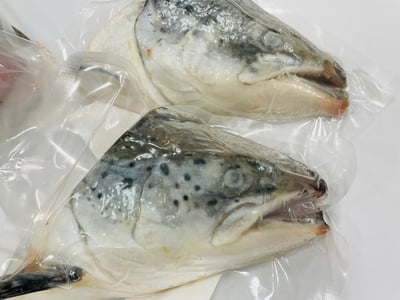 挪威鮭魚頭300/5009