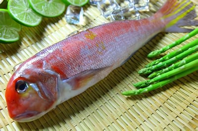 現流急凍紅面馬頭魚(2尾/組)2