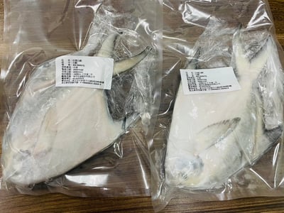 嘟嘟好印度正白鯧7