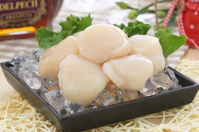 日本4S生食級干貝1KG盒裝4