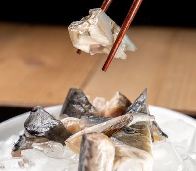 高山泉水養殖鱘龍魚13