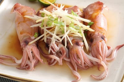 東北角船凍一排大卷8