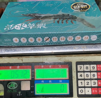 高品質馬來包鑽活凍草蝦10P11