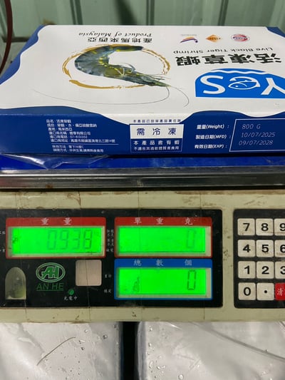 YES大尾12P海草蝦4