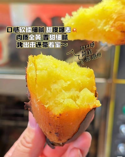 冰烤57號黃金地瓜6