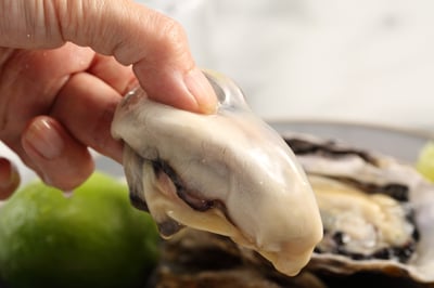 日本宮城活凍全殼生蠔(2L)3