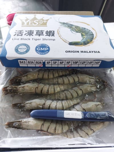高品質馬來西亞8p大草蝦4