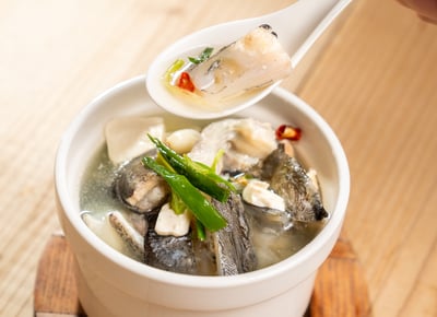 高山泉水養殖鱘龍魚16