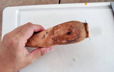 無毒蓮藕茶食材5