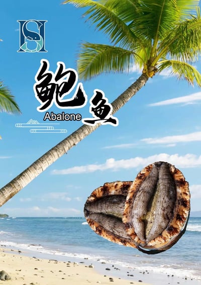 活體急速冷凍半殼鮑魚26~30P9