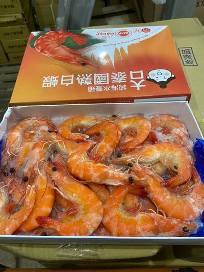 馬來活煮熟白蝦31/4010