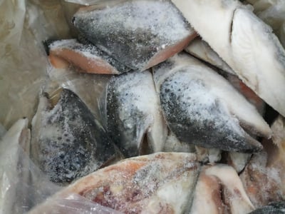 挪威鮭魚頭300/5005