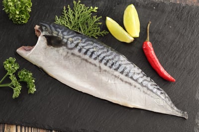 挪威薄鹽鯖魚片19P4