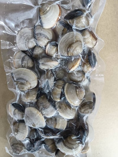 現流台南七股文蛤9