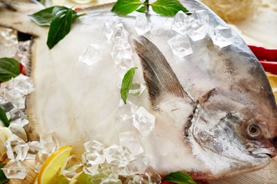 嘟嘟好印度正白鯧1