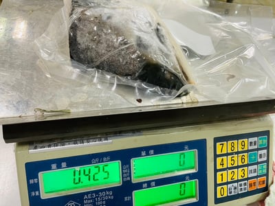 挪威鮭魚頭300/5007