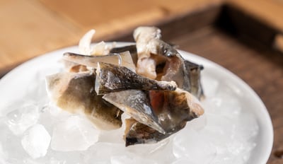 高山泉水養殖鱘龍魚12