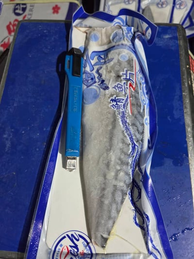 挪威薄鹽鯖魚片19P20