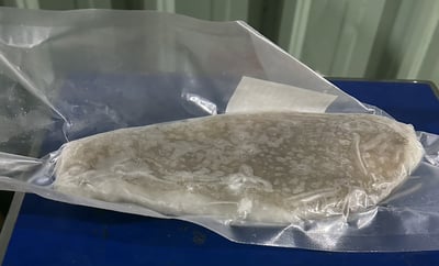 冷凍劍齒鰈魚片8