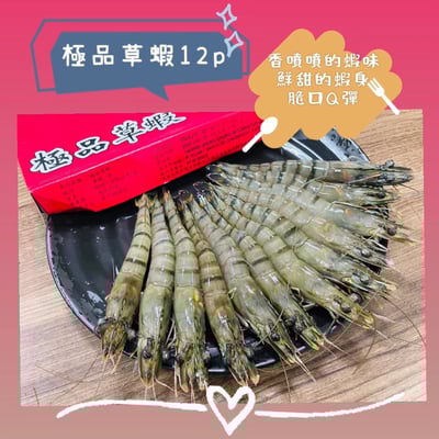極品草蝦12P1