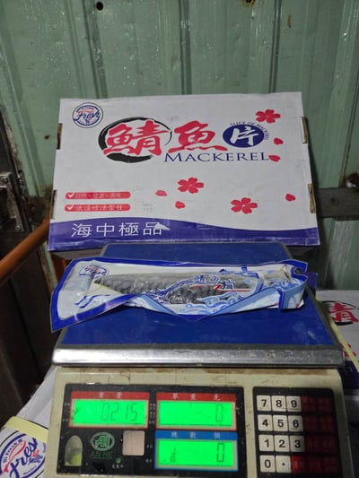 挪威薄鹽鯖魚片19P22