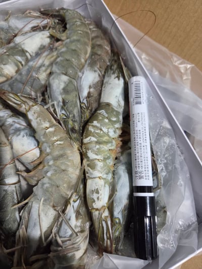 頂級有氧Spa大白蝦4
