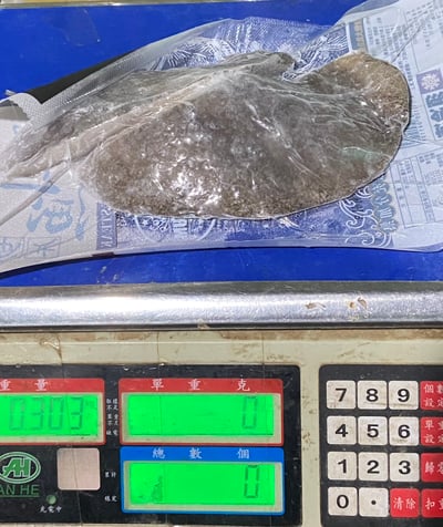 大比目魚半月切7