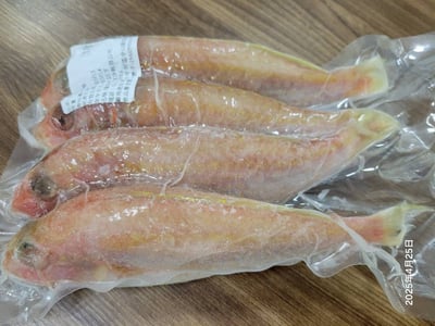 西太平洋金線魚550g1