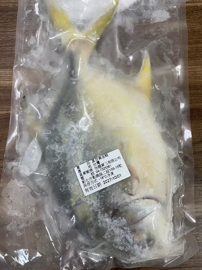 台灣富貴黃金鯧4