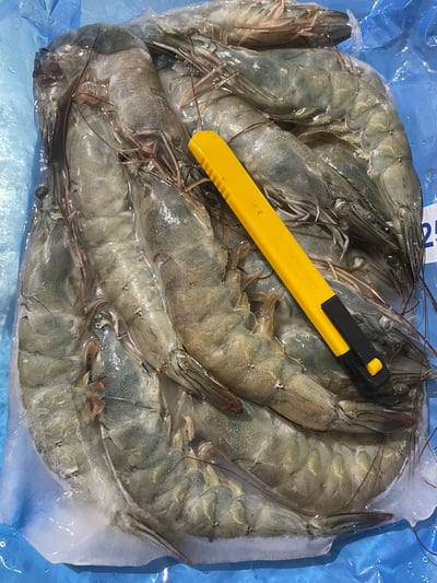 五星活凍白蝦21/253