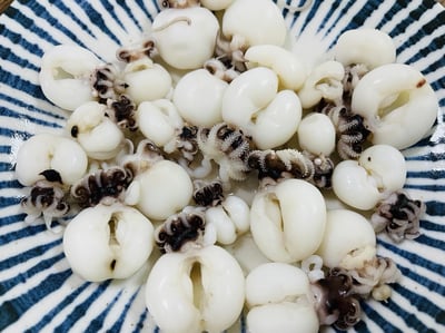 單凍小花枝40/607