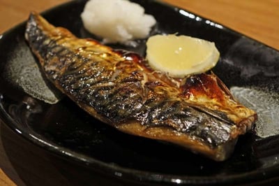 挪威薄鹽鯖魚片19P8