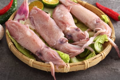 東北角船凍一排大卷6