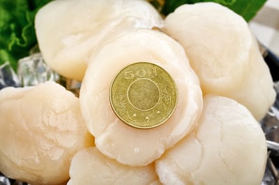 日本4S生食級干貝1KG盒裝3