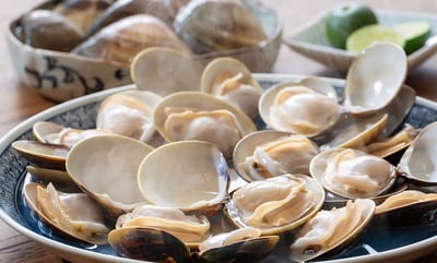 現流台南七股文蛤5