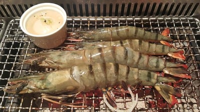 海捕野生海大蝦500G2