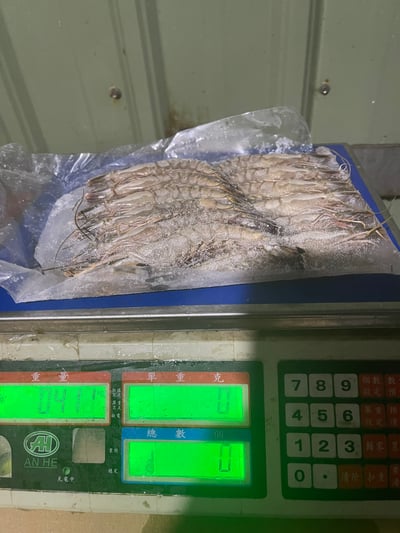 包鑽活凍草蝦12P9