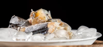 高山泉水養殖鱘龍魚14