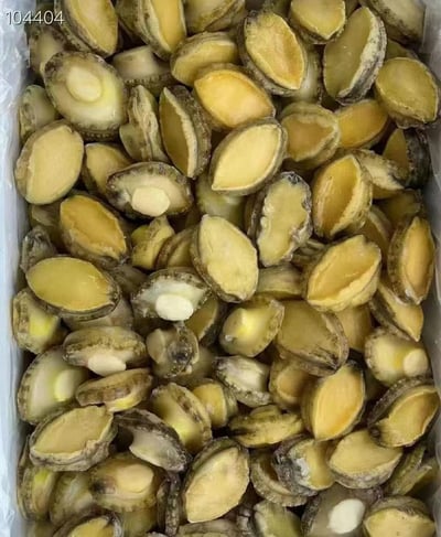 活取熟凍鮑魚清肉2