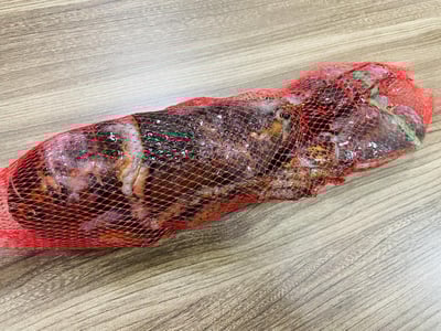 巨無霸波士頓龍蝦11