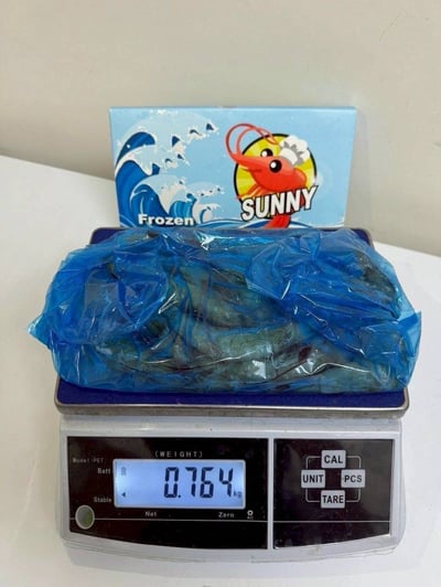 陽光☀️大白蝦｜超大2
