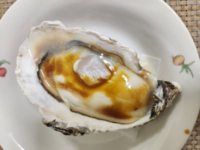 宮城超級大全殼活凍生蠔5