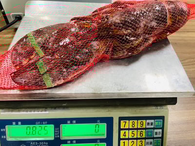 巨無霸波士頓龍蝦10