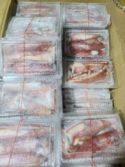 東北角船凍一排大卷15