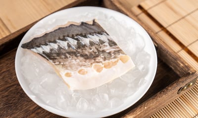 高山泉水養殖鱘龍魚8