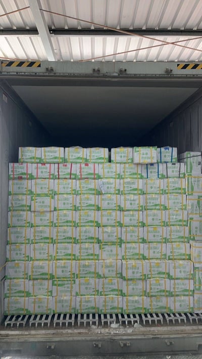 最高品質海虎蝦12p7